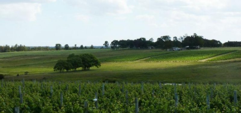 Foto Campo en Venta en Atlántida, Canelones - U$D 1.300.000 - CPV4937 - BienesOnLine