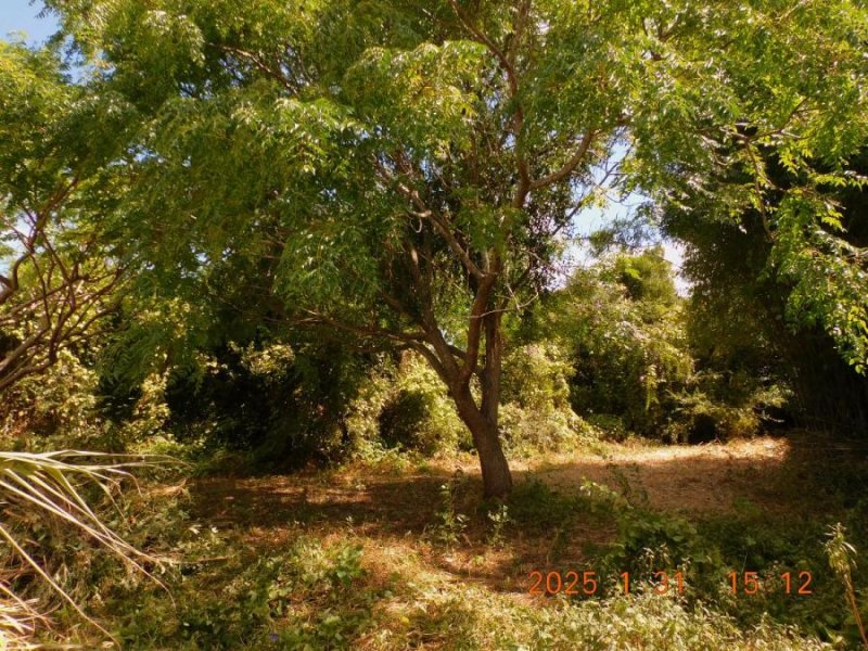 Casa en Venta en  San Carlos, Maldonado