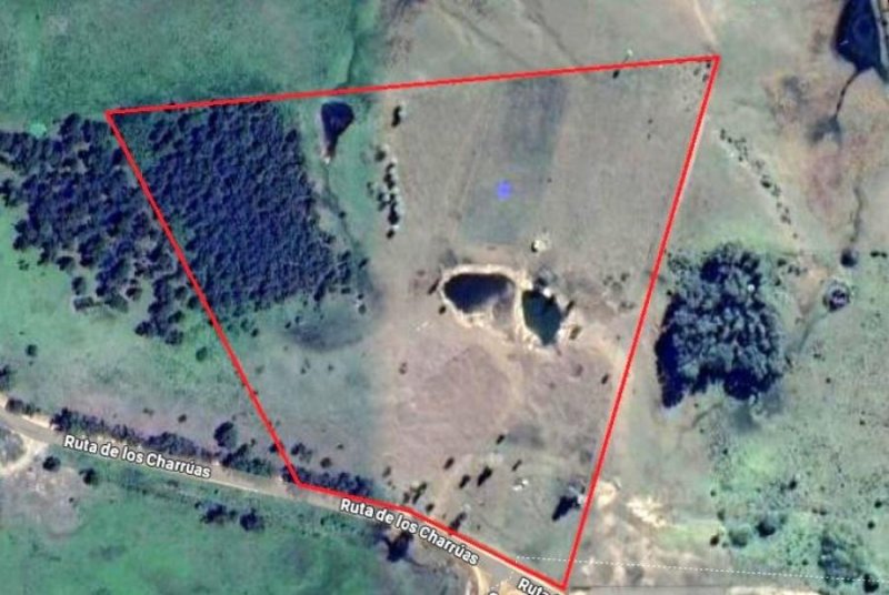 Campo en Venta en  Guichón, Paysandu