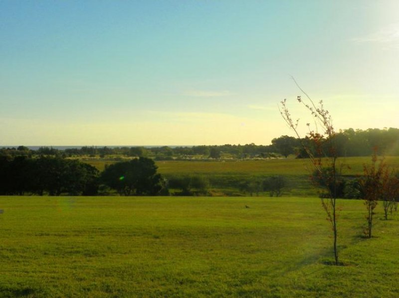 Foto Terreno en Venta en Colonia del Sacramento, Colonia - U$D 82 - TEV3351 - BienesOnLine