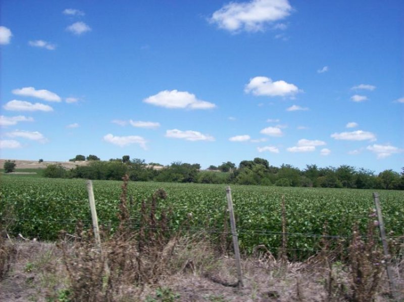 Foto Campo en Venta en Estanzuela, Colonia - $ 810.000 - CPV3612 - BienesOnLine