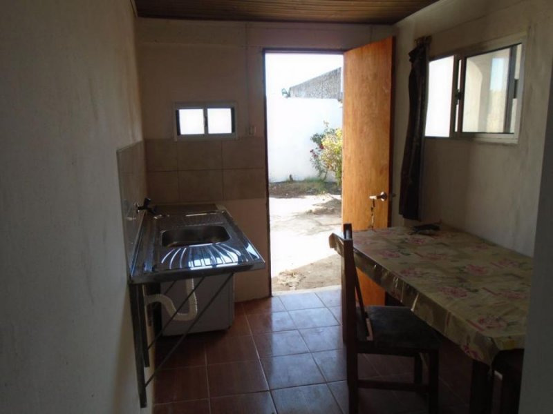 Casa en Alquiler en CENTRO Salto, Salto