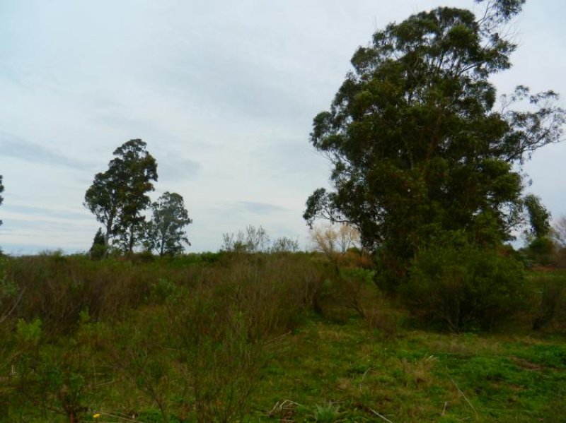 Terreno en Venta en  San Carlos, Maldonado