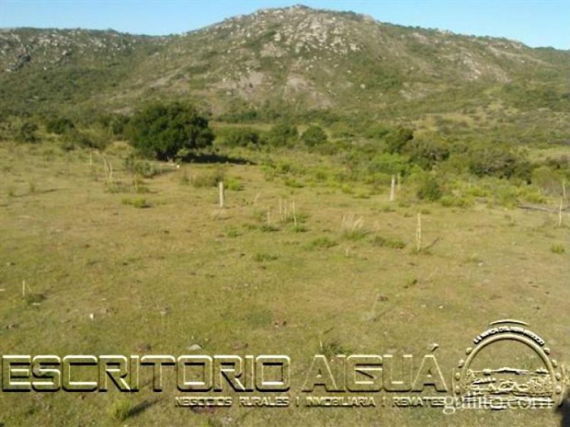 Foto Campo en Venta en Aiguá, Maldonado - 13 hectareas - U$D 71.500 - CPV6451 - BienesOnLine