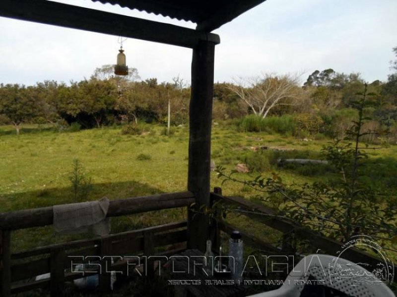 Foto Campo en Venta en Aiguá, Maldonado - 19 hectareas - U$D 123.000 - CPV6452 - BienesOnLine