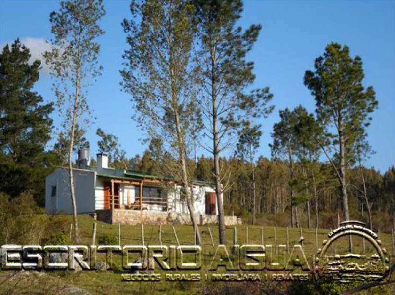Foto Campo en Venta en Aiguá, Maldonado - U$D 2.800 - CPV5815 - BienesOnLine