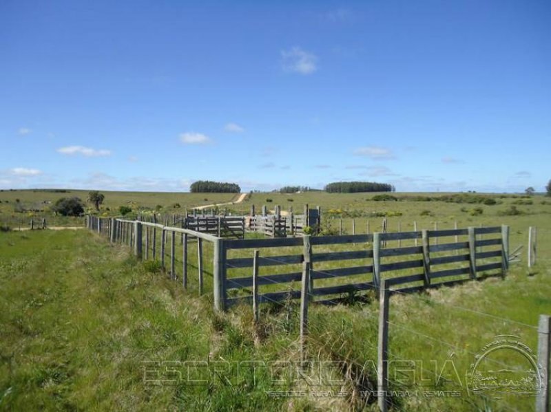 Foto Campo en Venta en Garzón, Maldonado - 57 hectareas - U$D 1.140.000 - CPV6469 - BienesOnLine