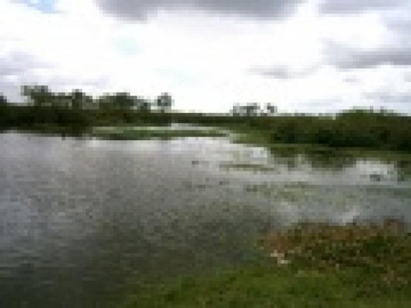 Foto Campo en Venta en Próx. paraje 18 de julio, Chuy, Rocha - 116 hectareas - U$D 1.800 - CPV4591 - BienesOnLine