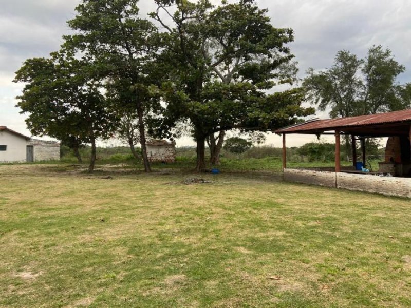 Campo en Venta en  Montevideo, Montevideo