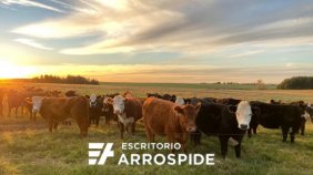 Campo En Venta En Uruguay