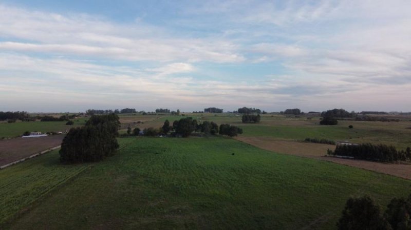Foto Campo en Venta en Paso Antolín, Colonia - U$D 315.000 - CPV7431 - BienesOnLine