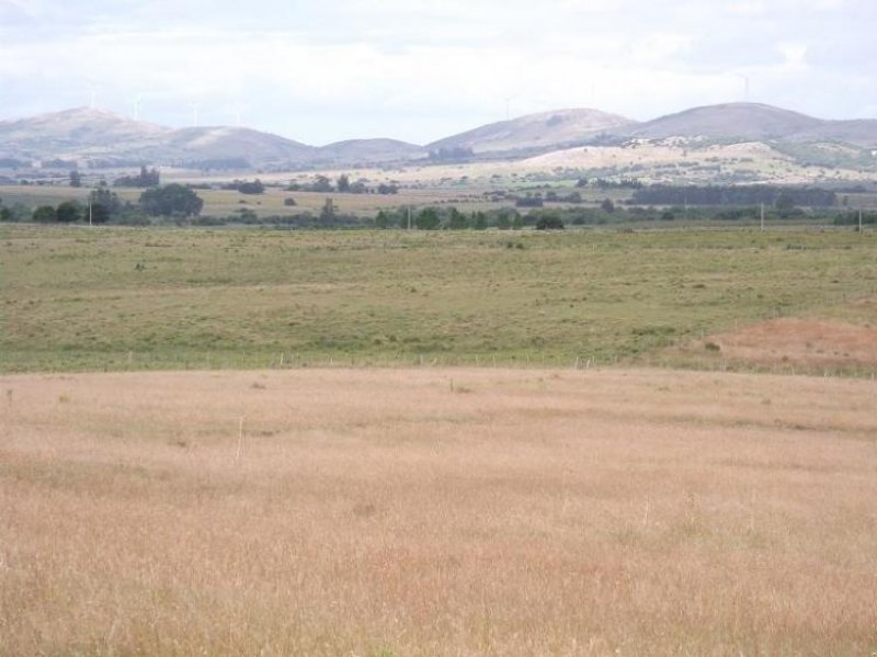 Foto Campo en Venta en El Edén, Maldonado - 36 hectareas - U$D 270.000 - CPV4346 - BienesOnLine