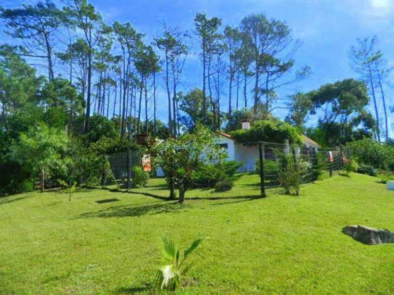 Foto Casa en Venta en San Francisco, Piriápolis, Maldonado - U$D 180.000 - CAV5236 - BienesOnLine