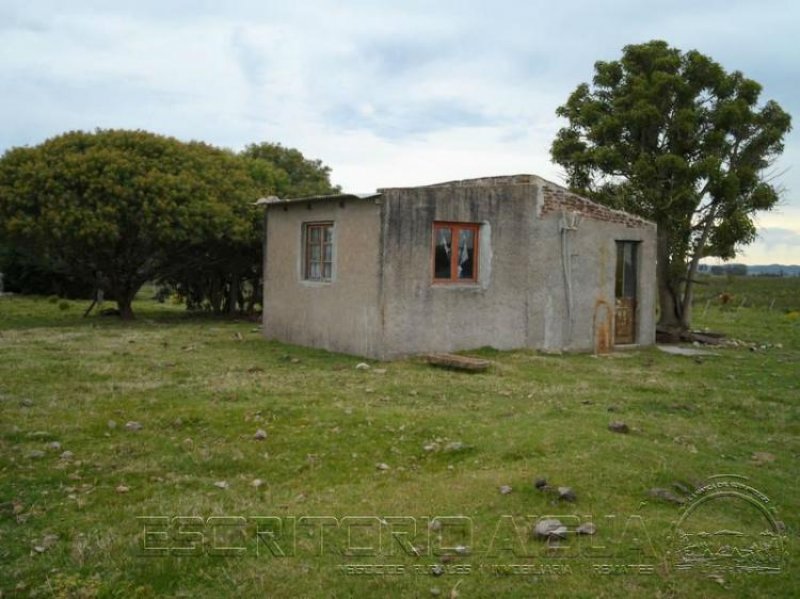 Foto Campo en Venta en Aiguá, Maldonado - 10 hectareas - U$D 100.000 - CPV6470 - BienesOnLine