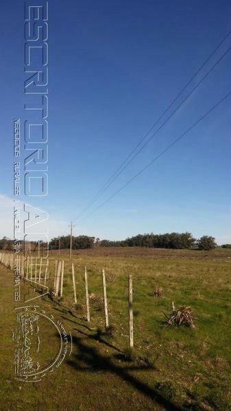 Foto Campo en Venta en Faro José Ignacio, Maldonado - 12 hectareas - U$D 330.000 - CPV6460 - BienesOnLine