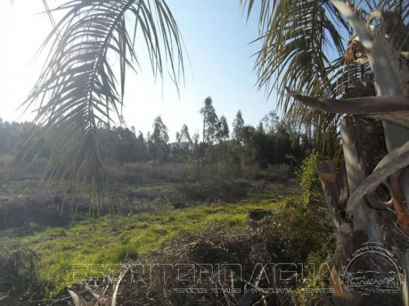 Foto Campo en Venta en Aiguá, Maldonado - 6 hectareas - U$D 72.000 - CPV6453 - BienesOnLine
