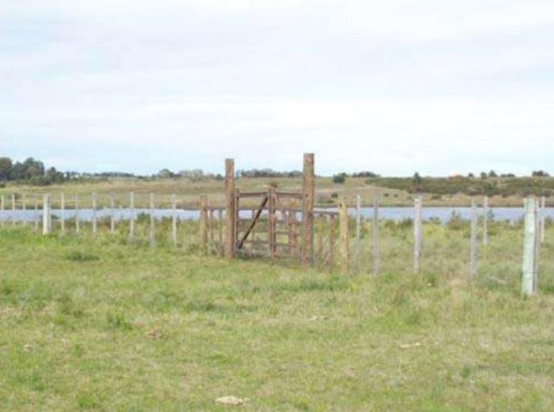Foto Terreno en Venta en Laguna de los Patos, Colonia del Sacramento, Colonia - TEV3356 - BienesOnLine