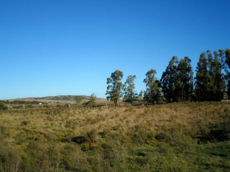 Foto Quinta en Venta en Pan de Azúcar, Maldonado - 7 hectareas - U$D 65.000 - QUV5621 - BienesOnLine