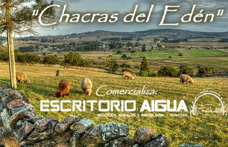 Foto Campo en Venta en El Edén, Maldonado - 5 hectareas - U$D 180.000 - CPV6450 - BienesOnLine