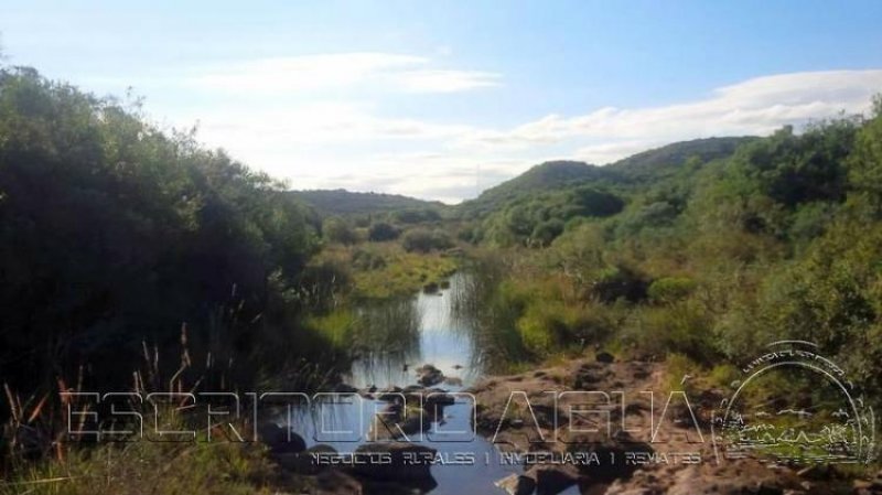 Foto Campo en Venta en Aiguá, Maldonado - 5 hectareas - U$D 38.000 - CPV6458 - BienesOnLine