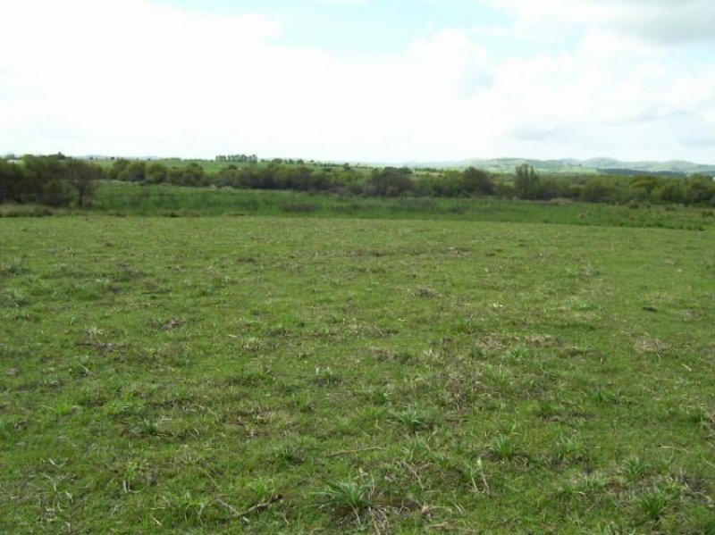 Foto Campo en Venta en Pueblo Edén, Edén, Maldonado - 83 hectareas - U$D 581.000 - CPV4345 - BienesOnLine