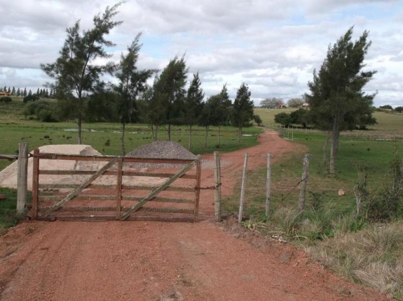 Foto Campo en Venta en Edén, Maldonado - 5 hectareas - U$D 100.000 - CPV4361 - BienesOnLine
