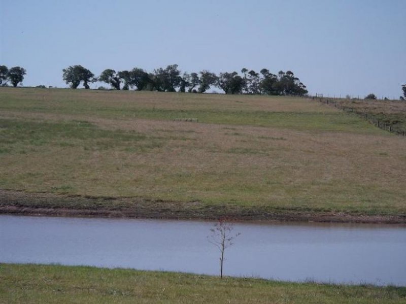 Foto Campo en Venta en , Maldonado - 10 hectareas - U$D 290.000 - CPV4330 - BienesOnLine