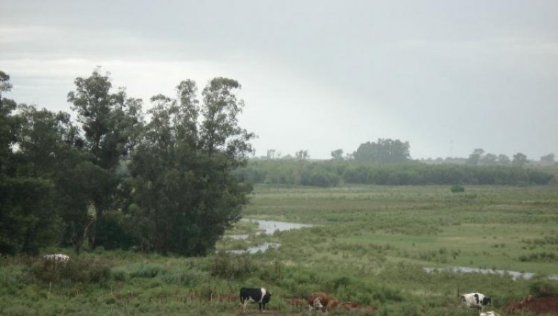 Foto Campo en Venta en Tala, Canelones - U$D 66.000 - CPV4944 - BienesOnLine