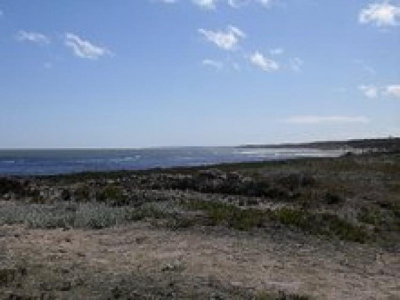 Foto Terreno en Venta en PIRIAPOLIS, Maldonado - U$D 125.000 - TEV1446 - BienesOnLine