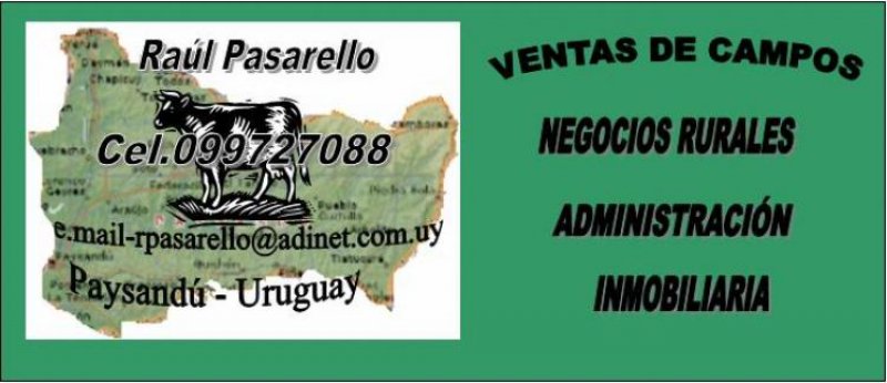 Foto Campo en Venta en Estación Porvenir, Paysandu - U$D 380.000 - CPV3207 - BienesOnLine