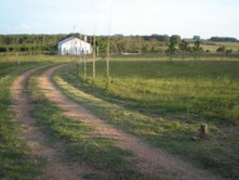 Foto Terreno en Venta en La Barra Punta del Este , Maldonado - U$D 250.000 - TEV1227 - BienesOnLine