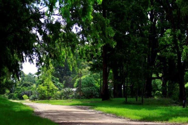 Foto Terreno en Venta en El Ensueño, Colonia - U$D 60.000 - TEV3701 - BienesOnLine