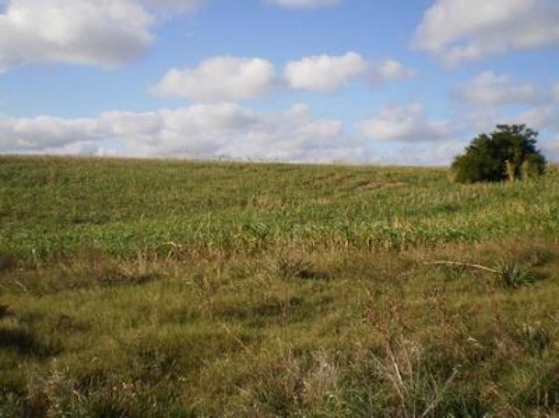 Foto Campo en Venta en Minuano, Colonia - U$D 545.000 - CPV3051 - BienesOnLine