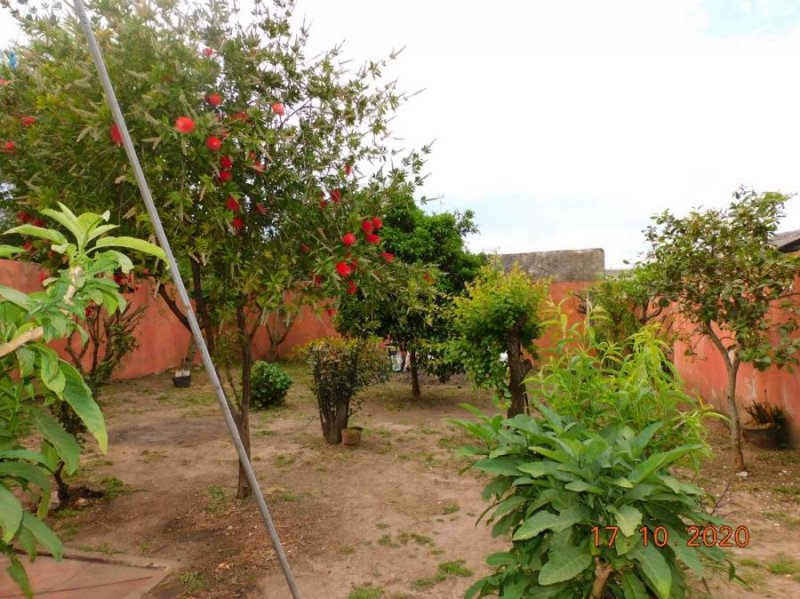 Casa en Venta en centro, centro de San Carlos San Carlos, Maldonado