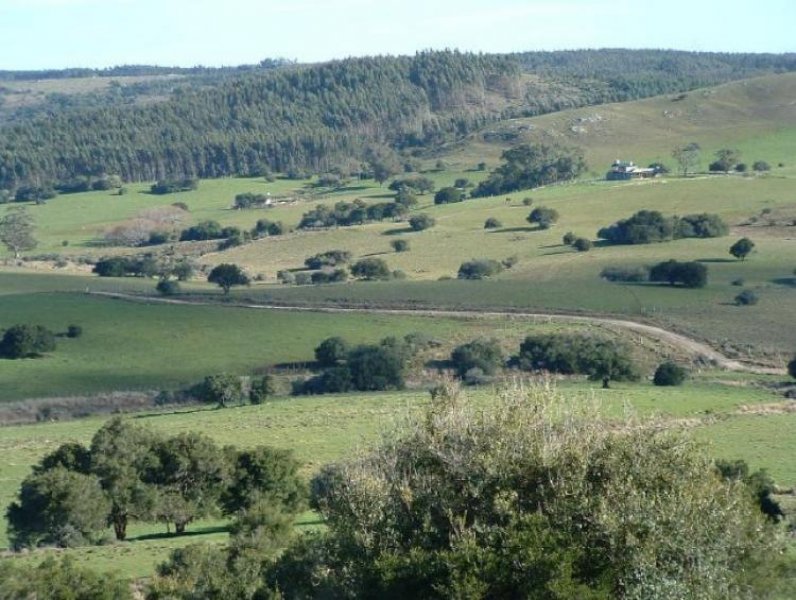 Foto Campo en Venta en Villa Serrana, Lavalleja - CPV3626 - BienesOnLine