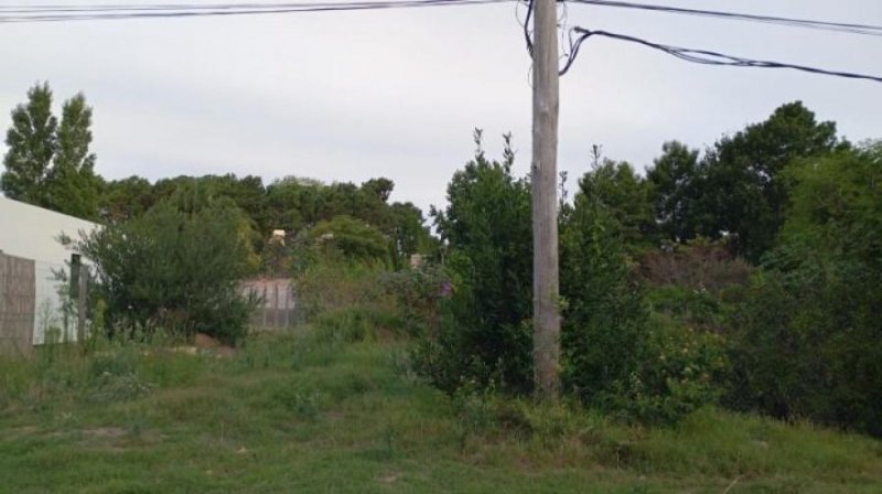 Terreno en Venta en  Punta del Este, Maldonado
