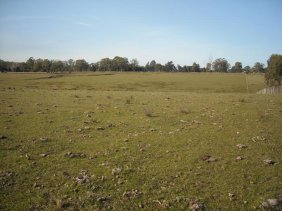 Campo en Venta en  San Carlos, Maldonado