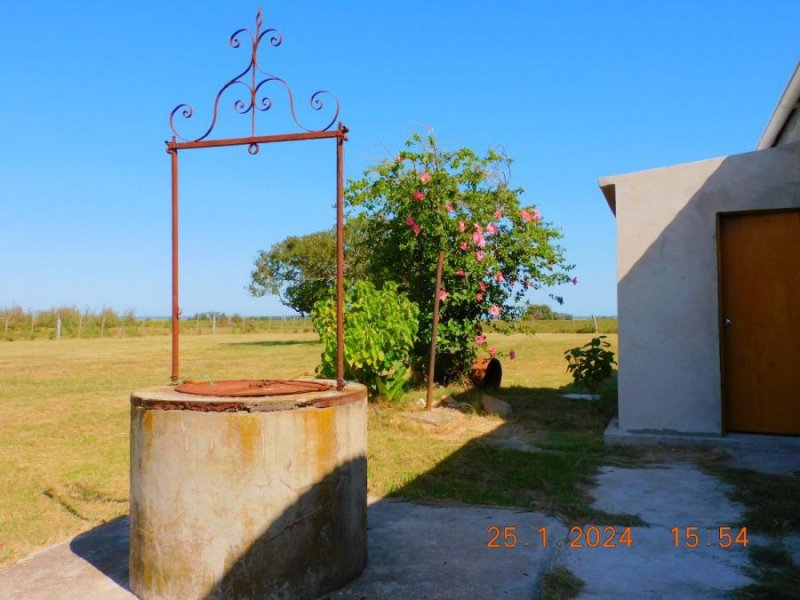 Campo en Venta en  San Carlos, Maldonado