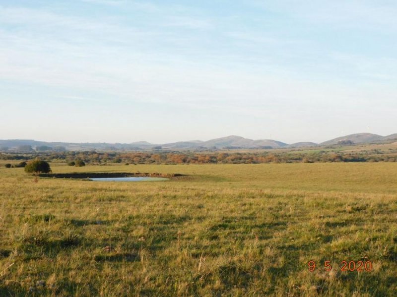 Campo en Venta en  Punta del Este, Maldonado