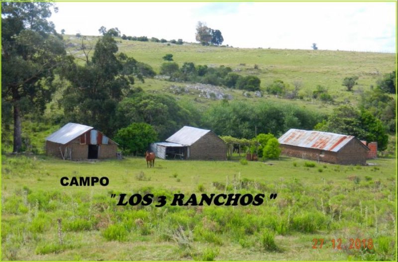 Campo en Venta en  San Carlos, Maldonado