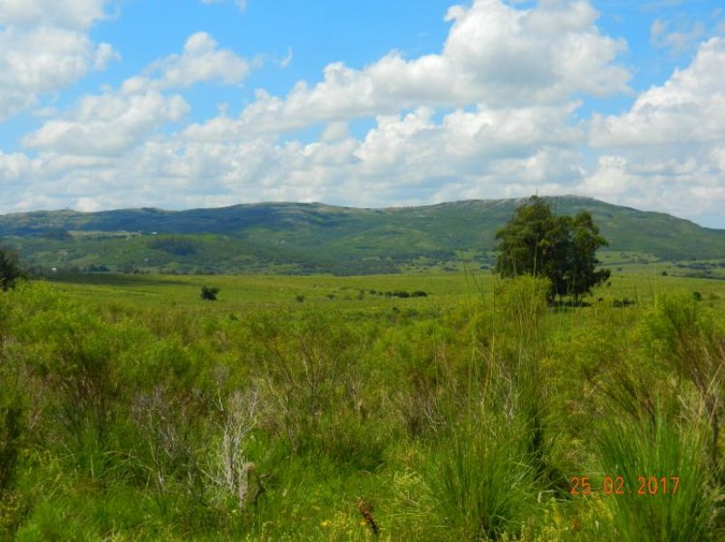 Campo en Venta en  San Carlos, Maldonado