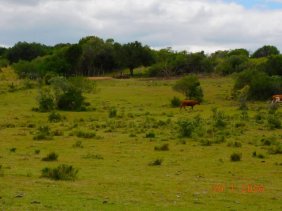 Campo en Venta en  Maldonado, Maldonado