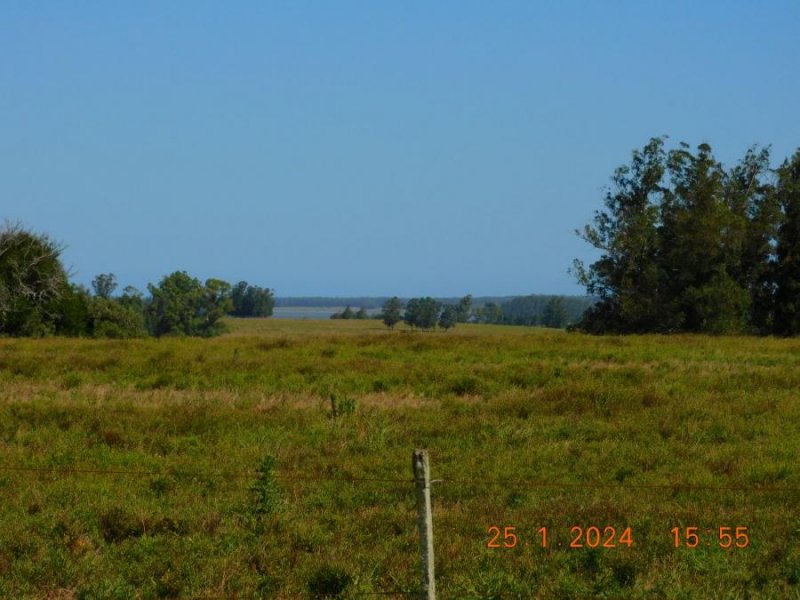 Campo en Venta en  Punta del Este, Maldonado