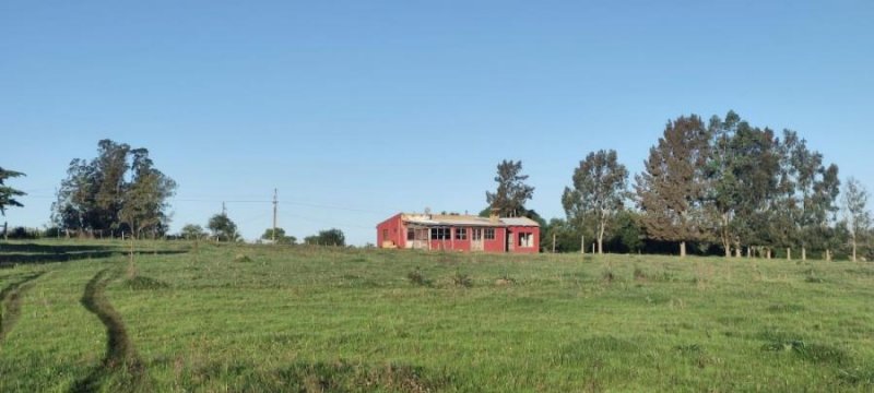 Campo en Venta en  San Carlos, Maldonado