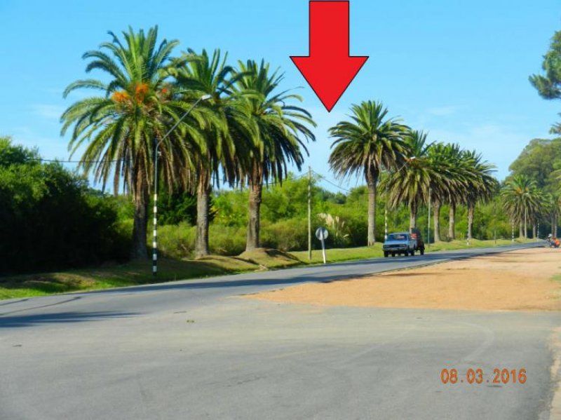 Campo en Venta en  San Carlos, Maldonado