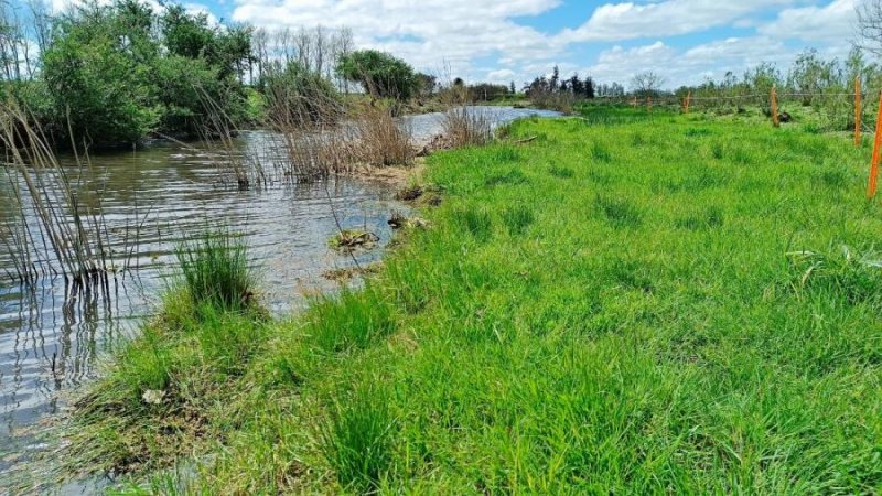 Campo en Venta en  Totoral del, Canelones