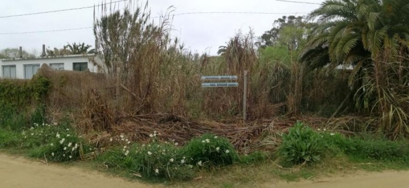 Terreno en Venta en  La Pedrera, Rocha