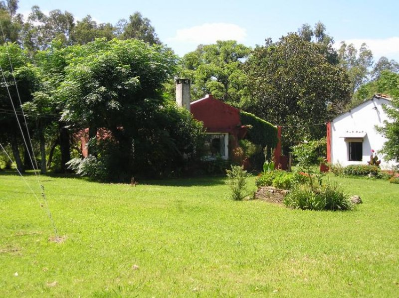 Foto Campo en Venta en Rosario, Colonia - CPV4642 - BienesOnLine